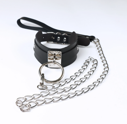 LacyNighty™ Follow Me Collar and Leash