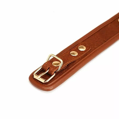 LacyNighty™ Brown Leather Collar & Leash